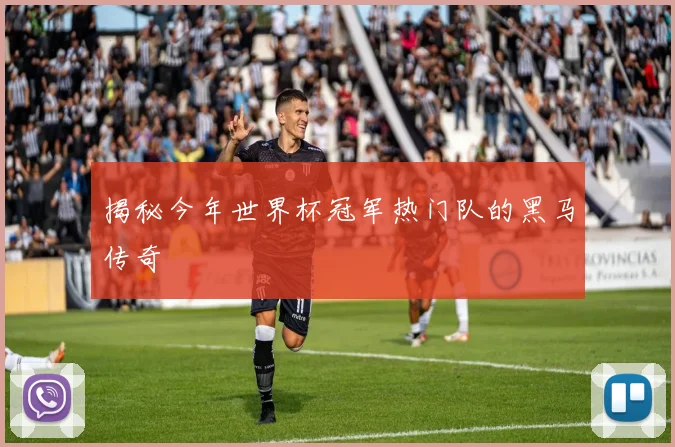 揭秘今年世界杯冠军热门队的黑马传奇