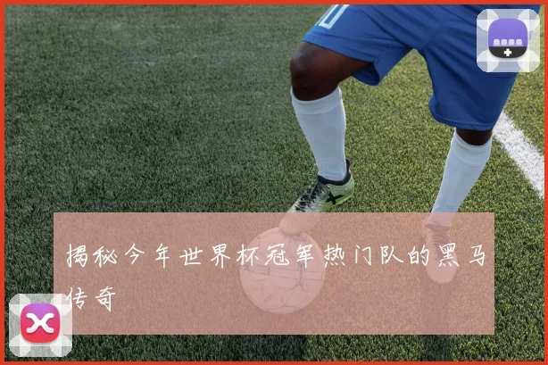 揭秘今年世界杯冠军热门队的黑马传奇