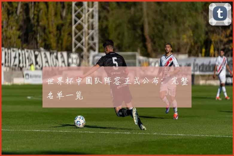 世界杯中国队阵容正式公布:完整名单一览