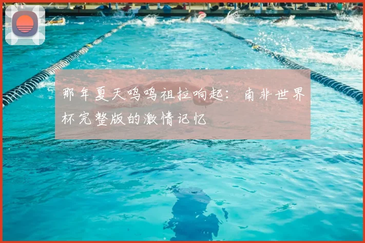 那年夏天呜呜祖拉响起:南非世界杯完整版的激情记忆