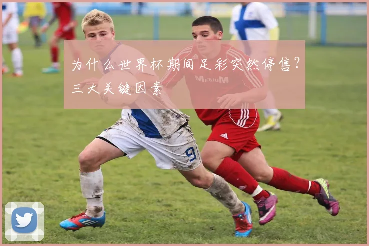 为什么世界杯期间足彩突然停售?三大关键因素