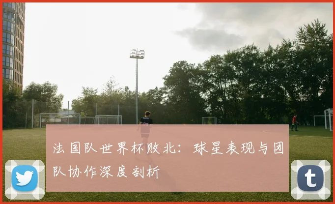 法国队世界杯败北：球星表现与团队协作深度剖析