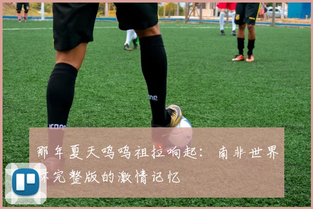 那年夏天呜呜祖拉响起:南非世界杯完整版的激情记忆