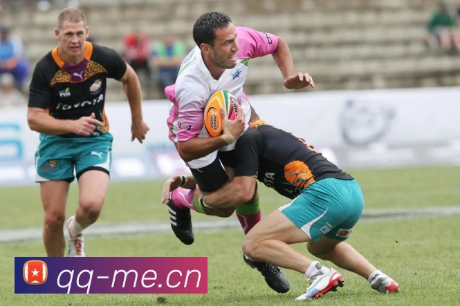 kaiyun云开登录入口APP 封面图